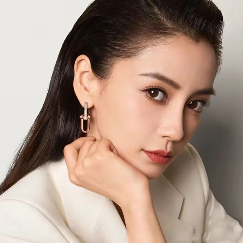 U-shaped Vachette Clasp Micro Inlaid Zircon Earrings