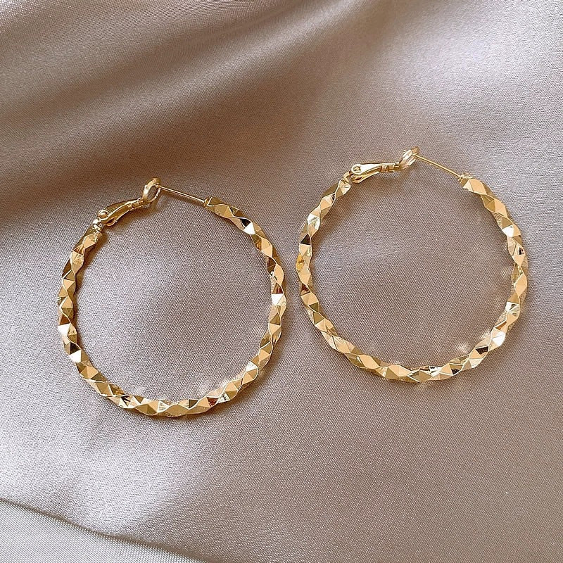 Women's Wind Irregular Twisted Ear Unique High Sense Earrings