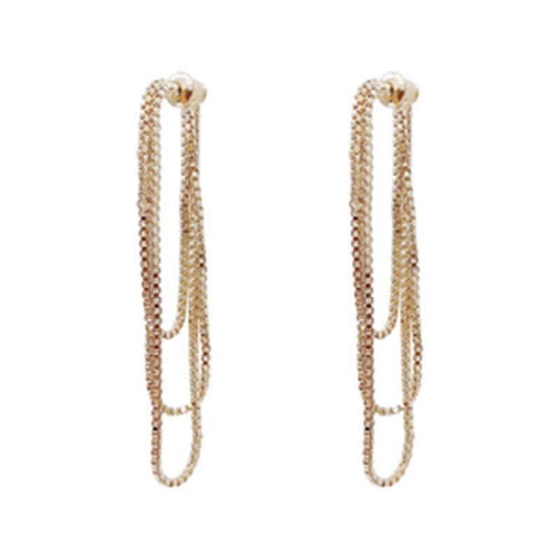 Women's Tassel Graceful Long Delicate Trendy Light Earrings