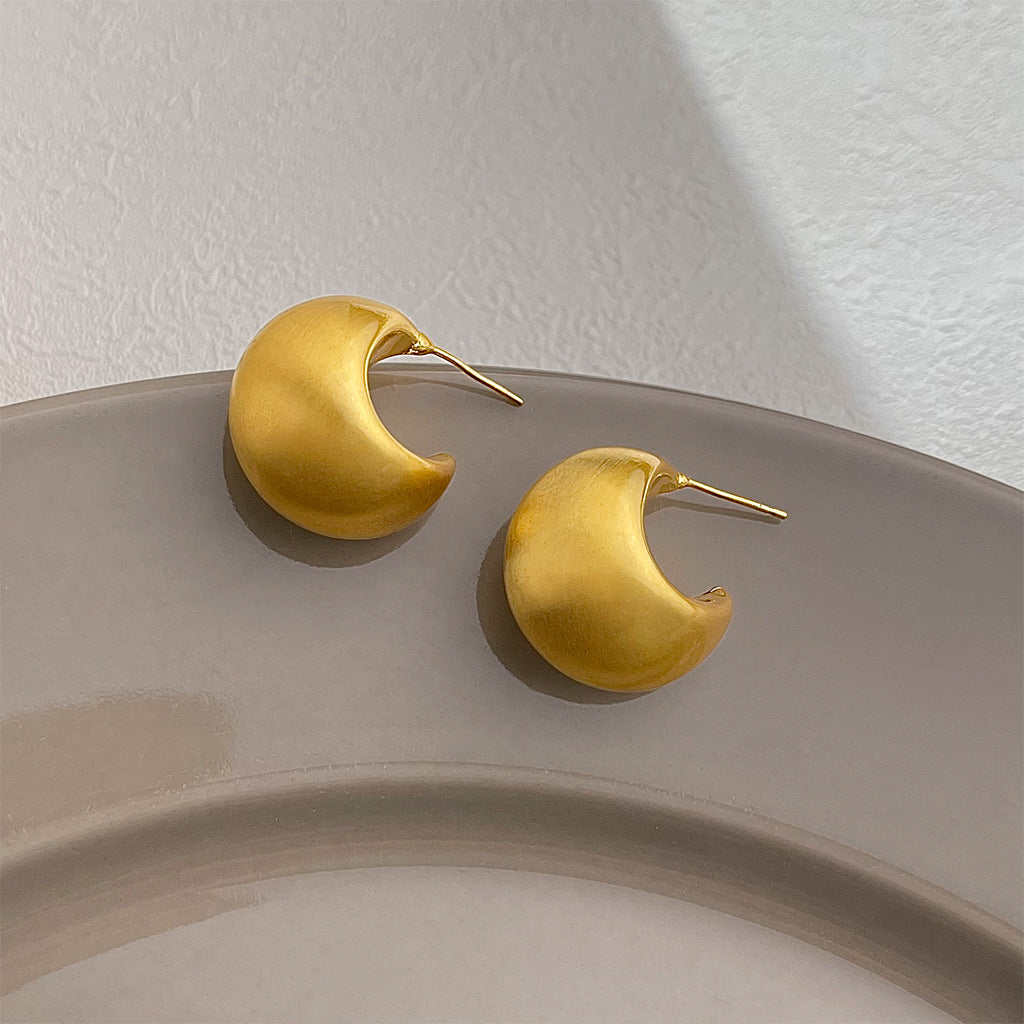 Matte Texture Geometric Female Niche Fashion Earrings