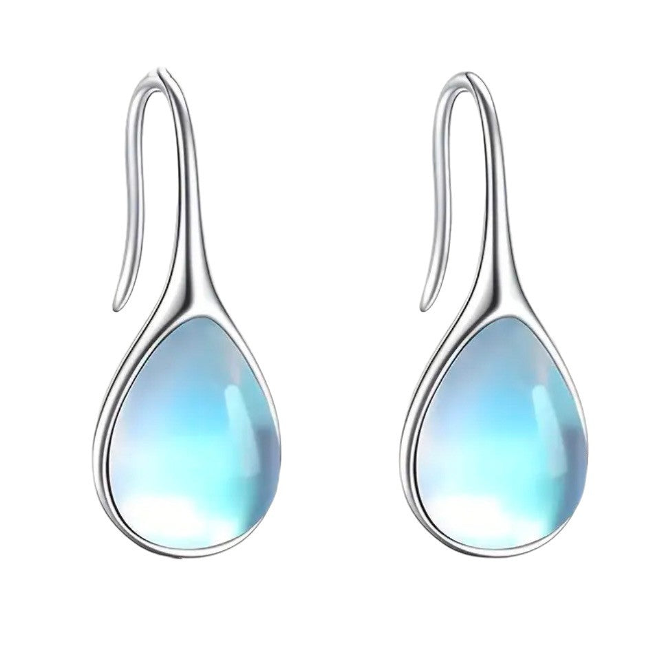Hook Special Interest Temperament Wild Personality Stud Earrings