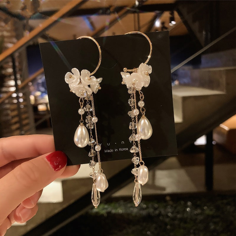 Women's Needle Elegant Long Tassel Thin Effect Earrings