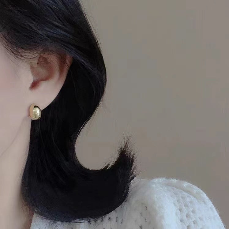 Women's Style Classic Sier Needle Exquisite Niche Earrings