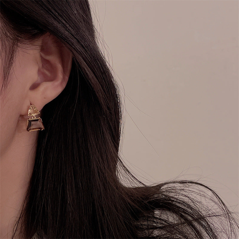 Women's Brown Crystal Simple Graceful Retro Minority Earrings
