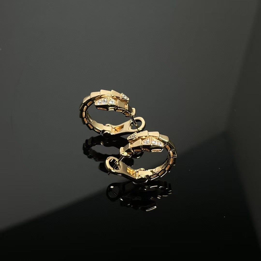 High Version Snake-shaped Ear Buckle Thick Earrings