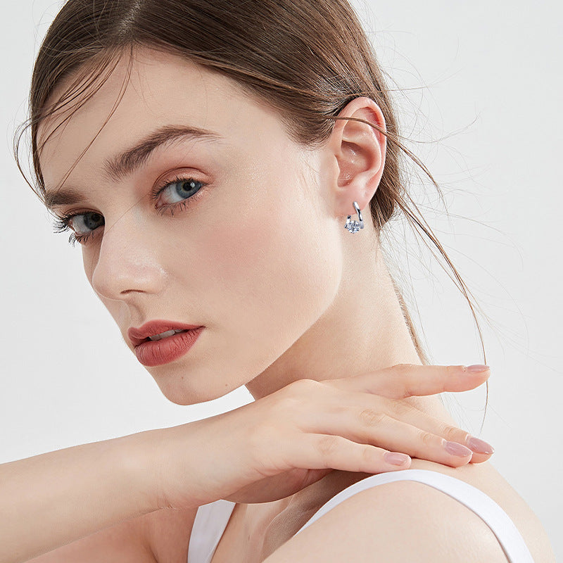 Elegant Irregular Ear Affordable Luxury Fashion Earrings