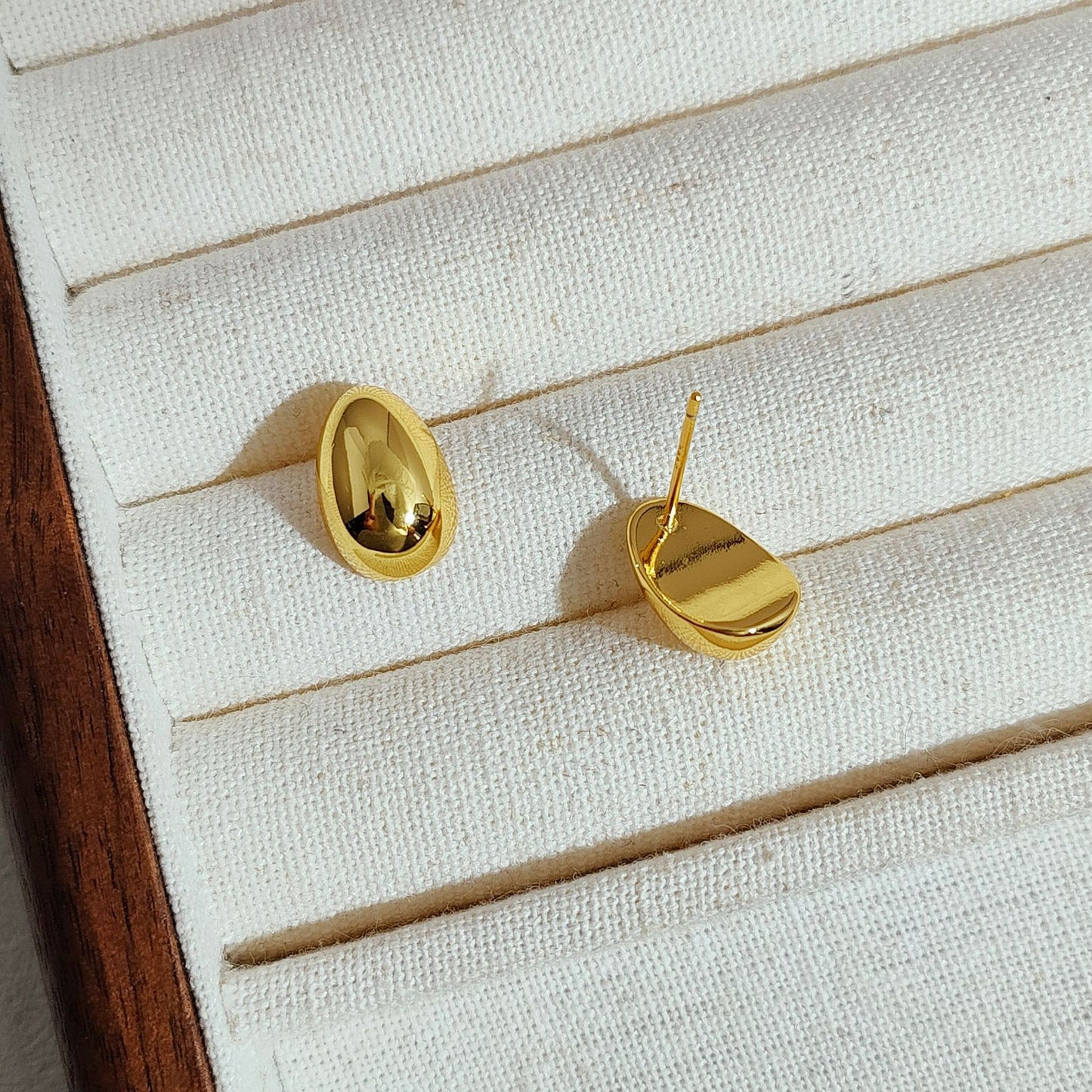 Women's Style Classic Sier Needle Exquisite Niche Earrings