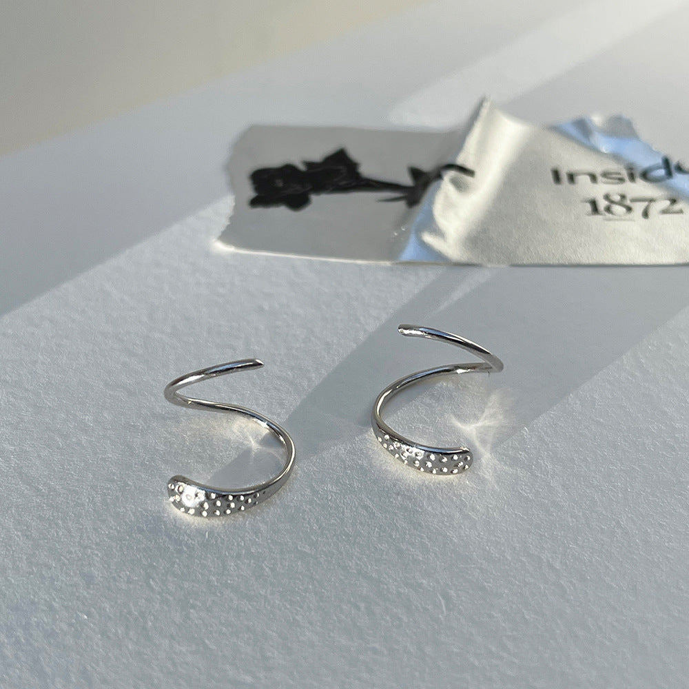 Women's Niche Bag Fashion Temperament Korean Style High-grade Sterling Earrings