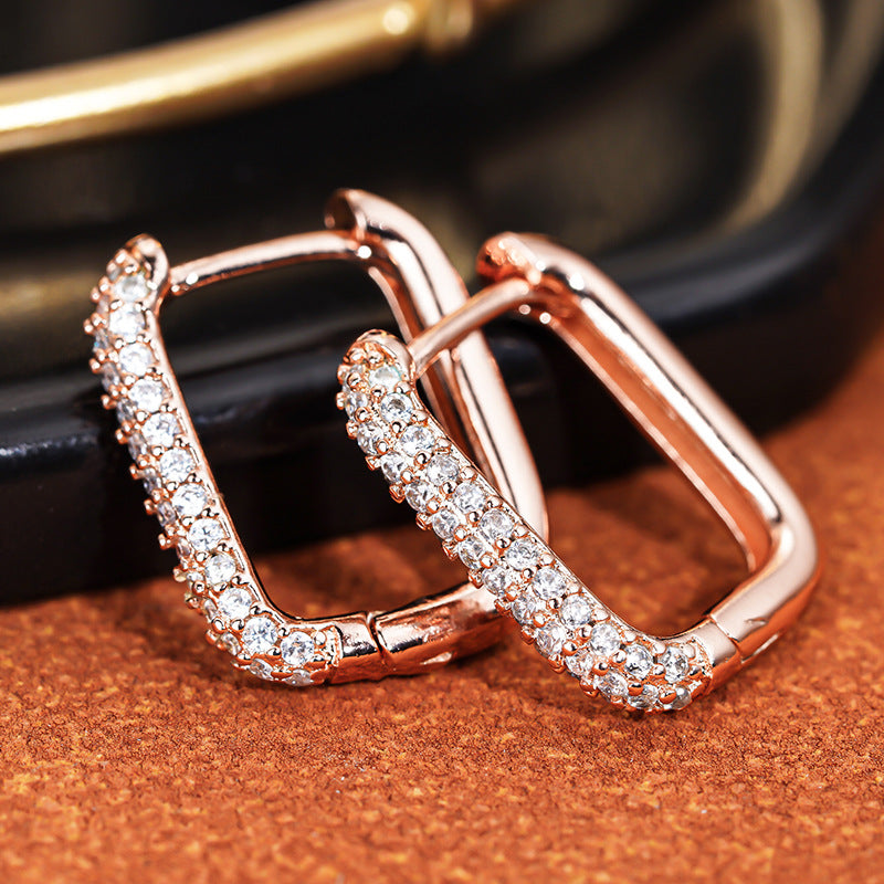 Micro Inlaid Zircon Fashionable Minority Simple Senior Frosty Ear Buckle