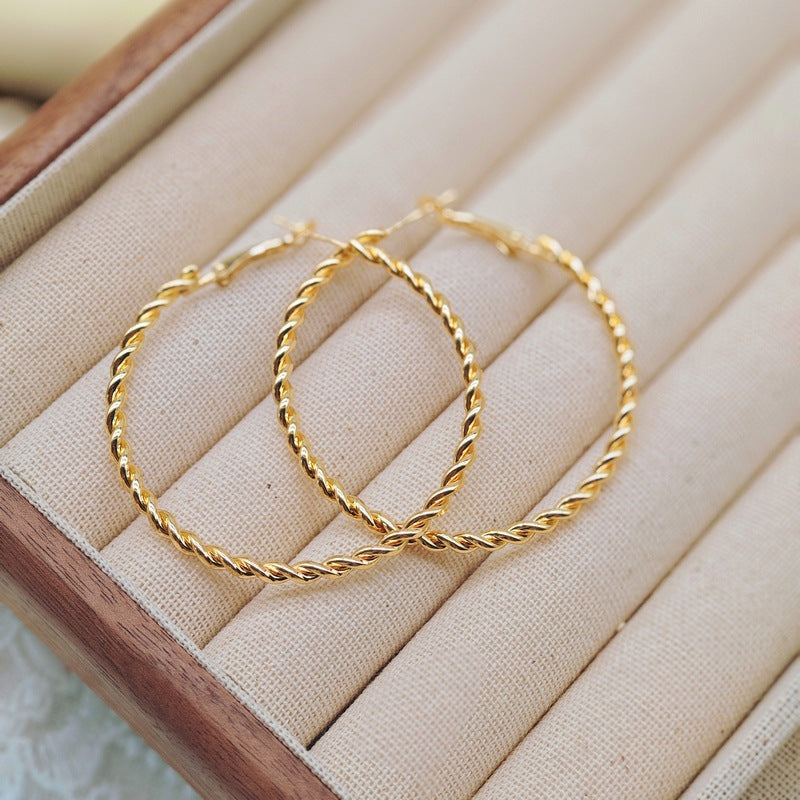 Women's Twist Metal Twisted Minority Fashion Creative Earrings