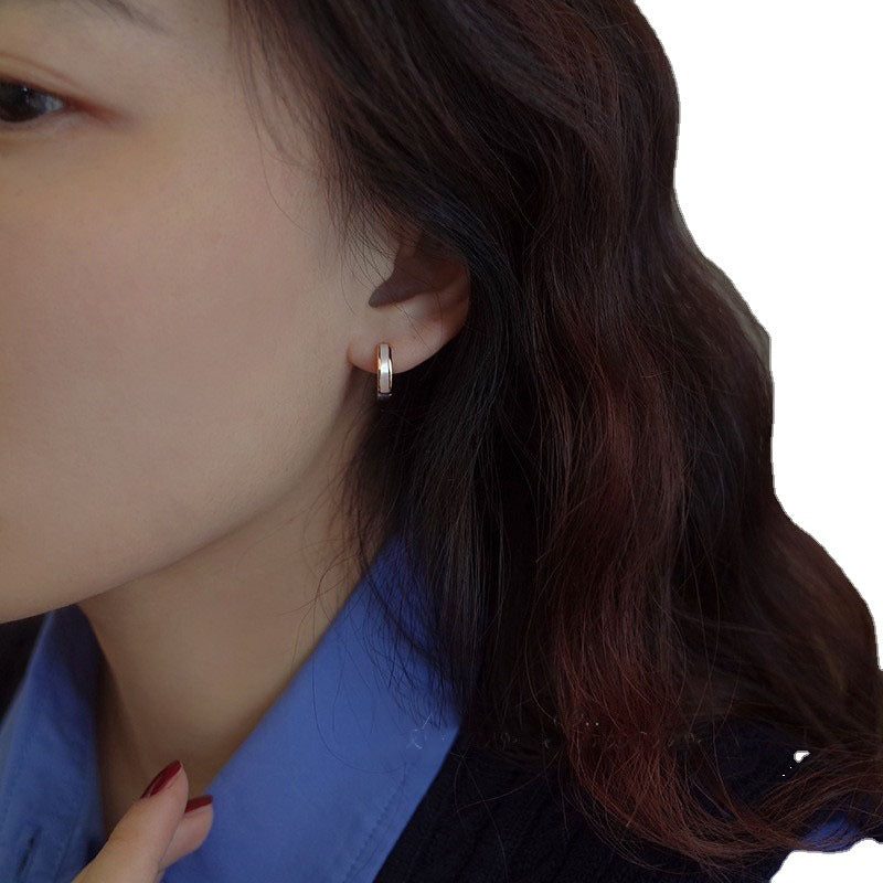 Clip Female Niche High-grade Light Luxury Cold Style Ear Buckle