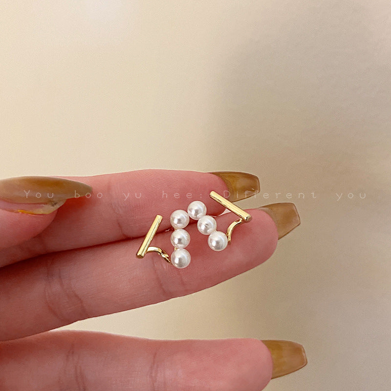 Women's Sier Pin Korean Style High Sense Special Earrings