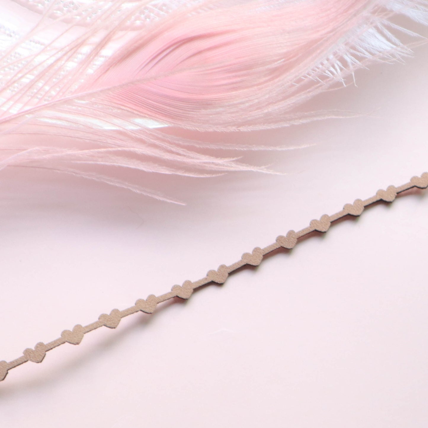 Sexy Collar Color Lace Ribbon Short Necklaces