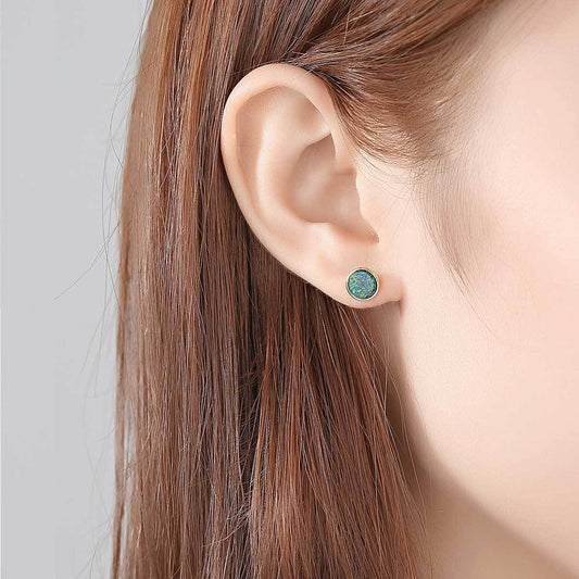 Round Sier Opal Korean Simple Fashion Earrings