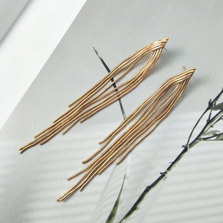 Women's Chain Long Fringe Elegant Personalized High-key Earrings