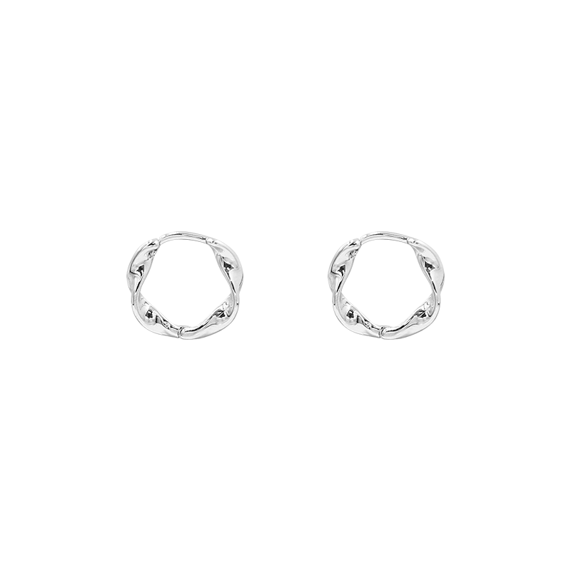 Women's Simple Wave Shape Twist Fashion Before Earrings