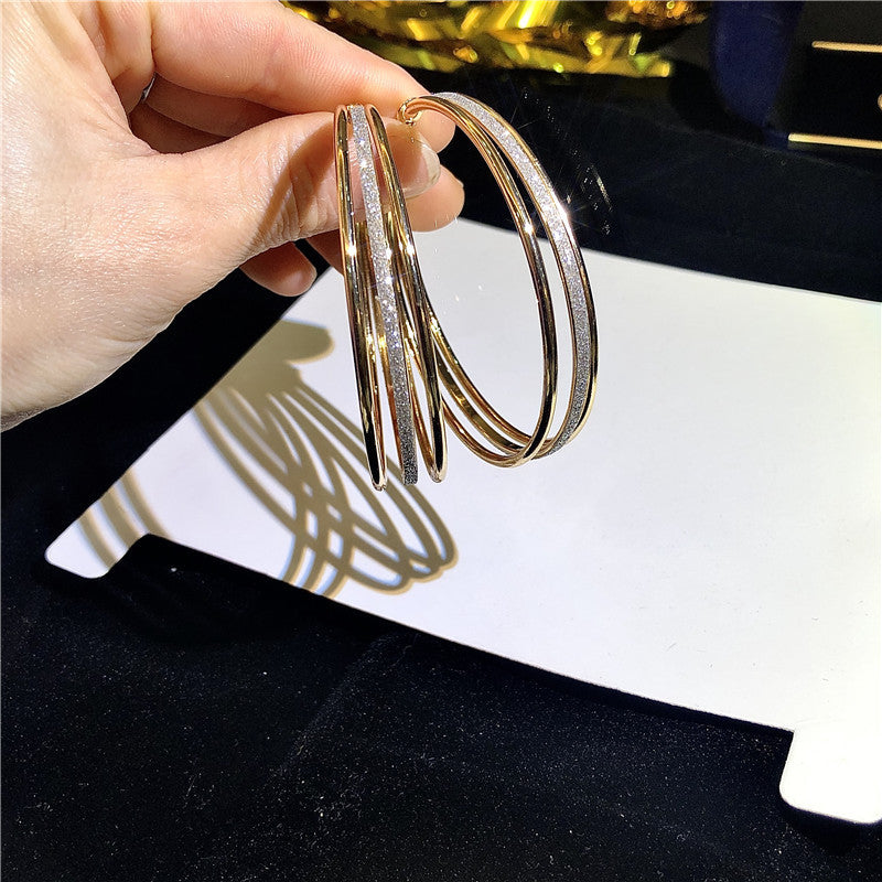 Women's Exaggerated Design Frosted Personality Fashion Trend Earrings
