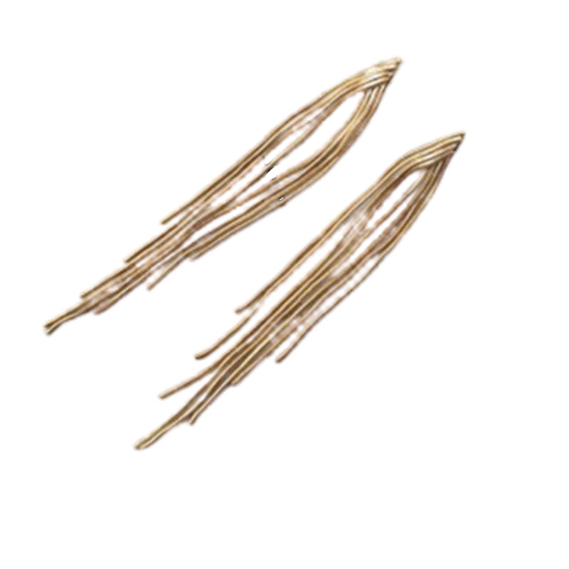 Women's Chain Long Fringe Elegant Personalized High-key Earrings
