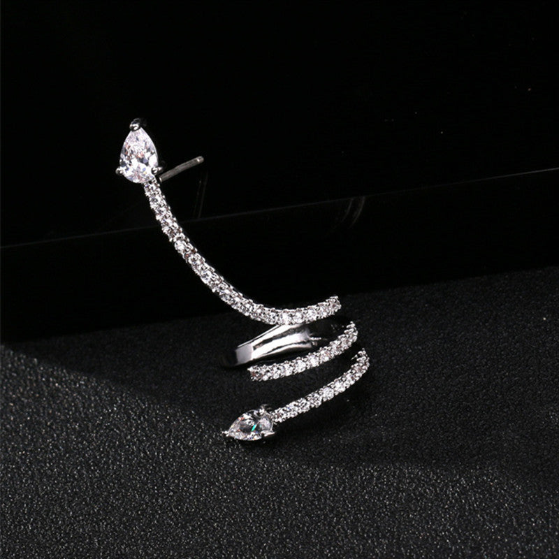 Sier Needle Zircon Spirit Snake Cold Style Personality Strip Snake-shaped Stud Earrings