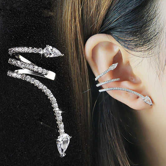 Sier Needle Zircon Spirit Snake Cold Style Personality Strip Snake-shaped Stud Earrings