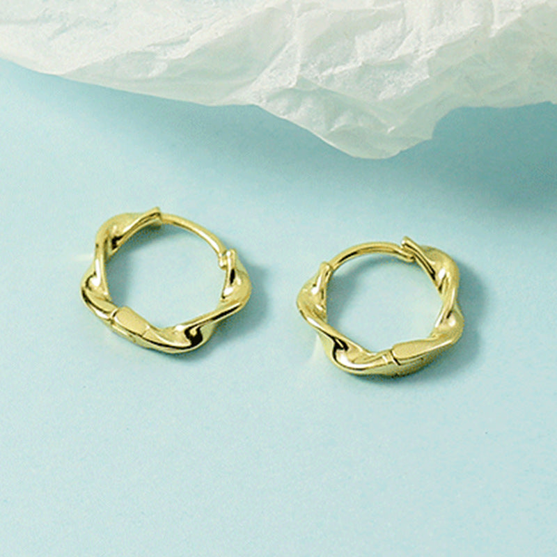 Women's Simple Wave Shape Twist Fashion Before Earrings
