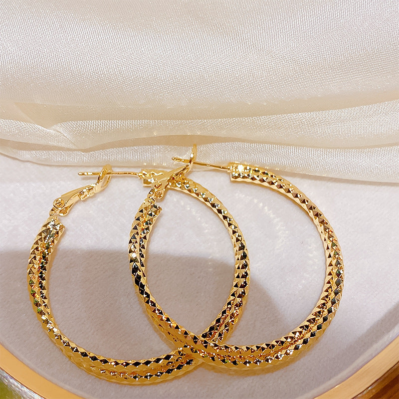 Cut Small Pieces Of Double Layer Hoop High Sense Niche Earrings