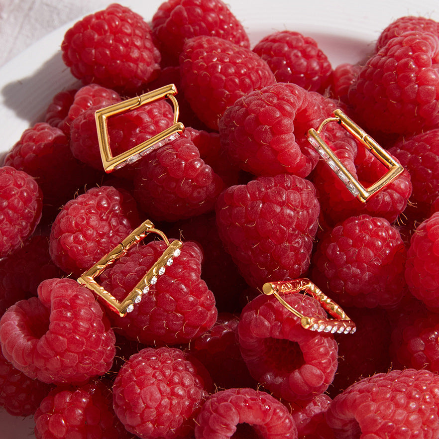 Geometric Square Stainless Steel Light Luxury High-grade Earrings