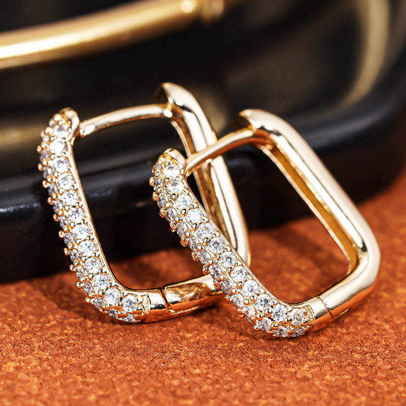 Micro Inlaid Zircon Fashionable Minority Simple Senior Frosty Ear Buckle
