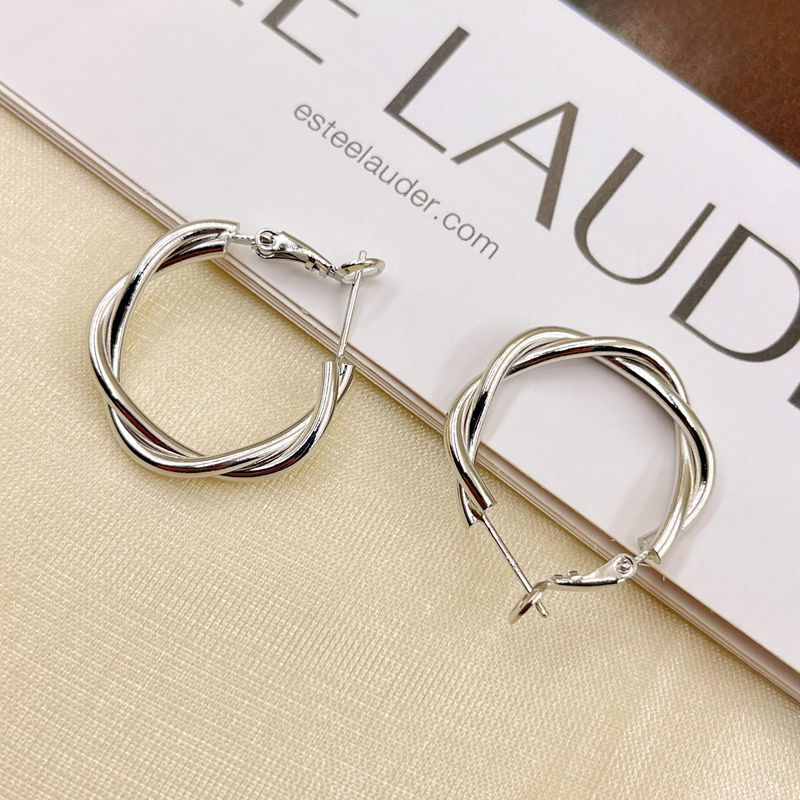 Design Metal Texture Small Ear High-grade Earrings