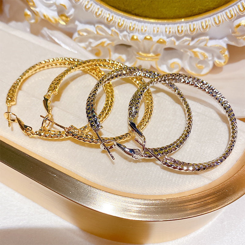 Cut Small Pieces Of Double Layer Hoop High Sense Niche Earrings