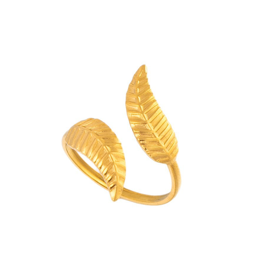 Stainless Steel Open Titanium No Fading Simple Ring