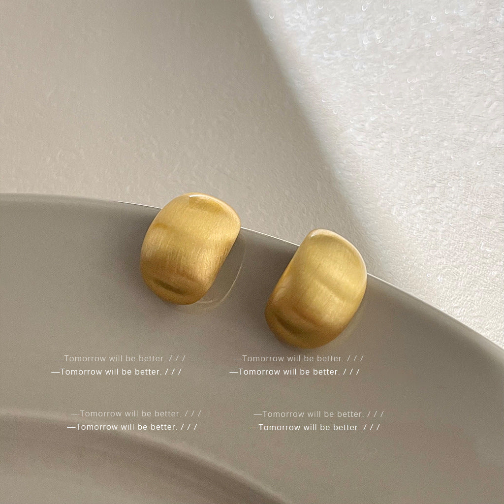 Matte Texture Geometric Female Niche Fashion Earrings