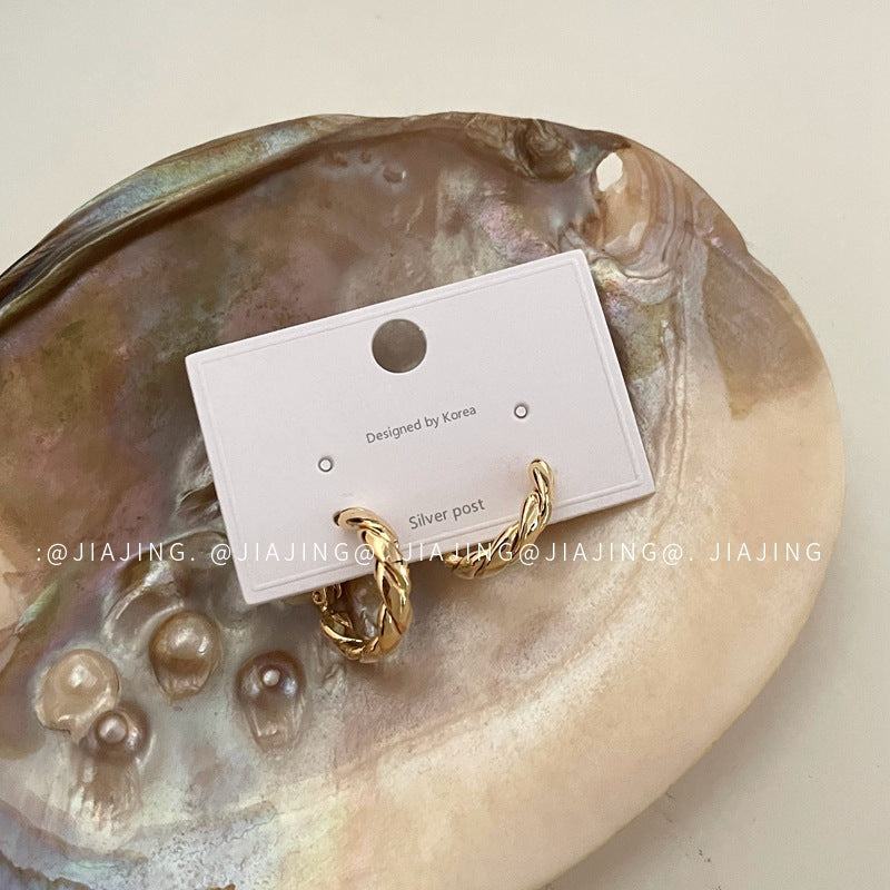 Twisted Twist Sier Needle Personality Simple Earrings