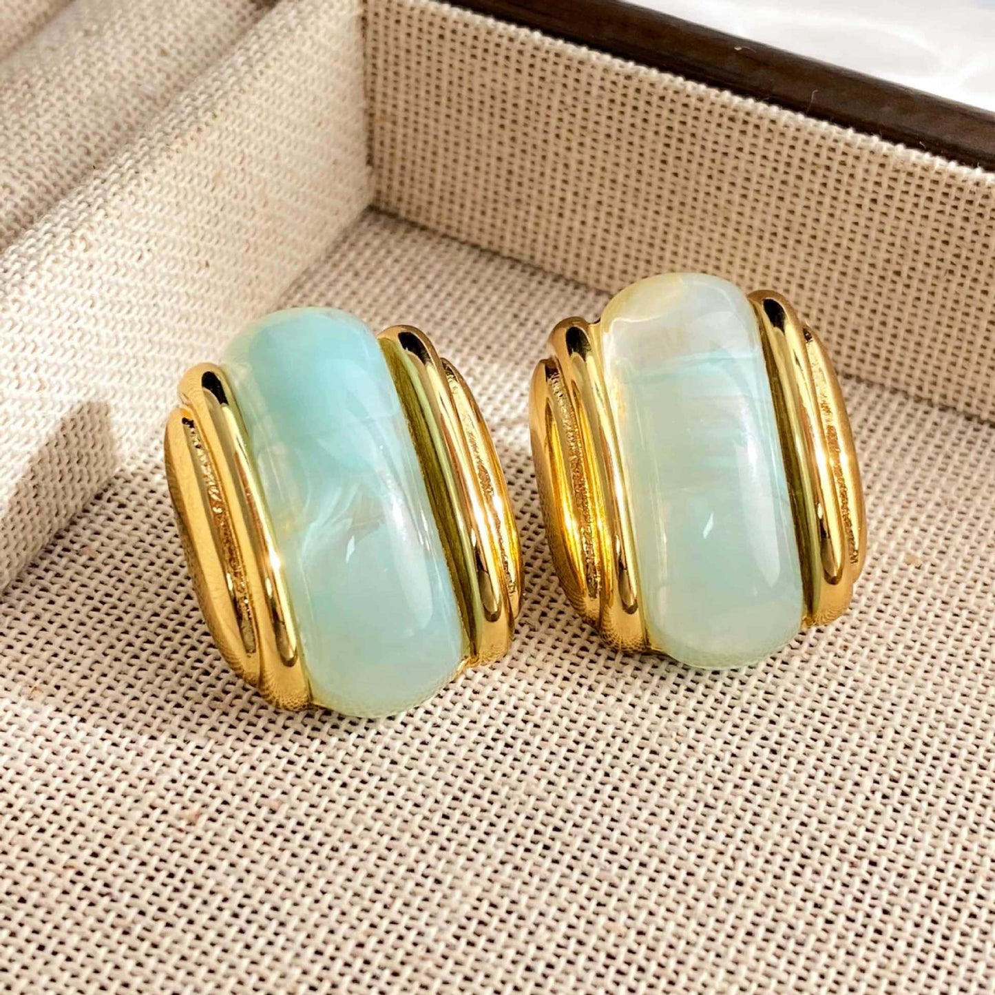 Luxury Resin Oval Optional Stainless Steel Earrings