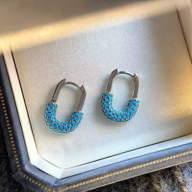 Female Light Luxury Minority Sensitive Circle Earrings