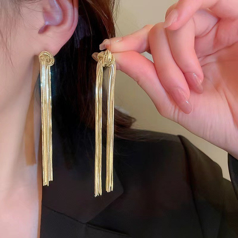 Women's Exaggerated Personalized Geometric Chain Long Tassel Earrings