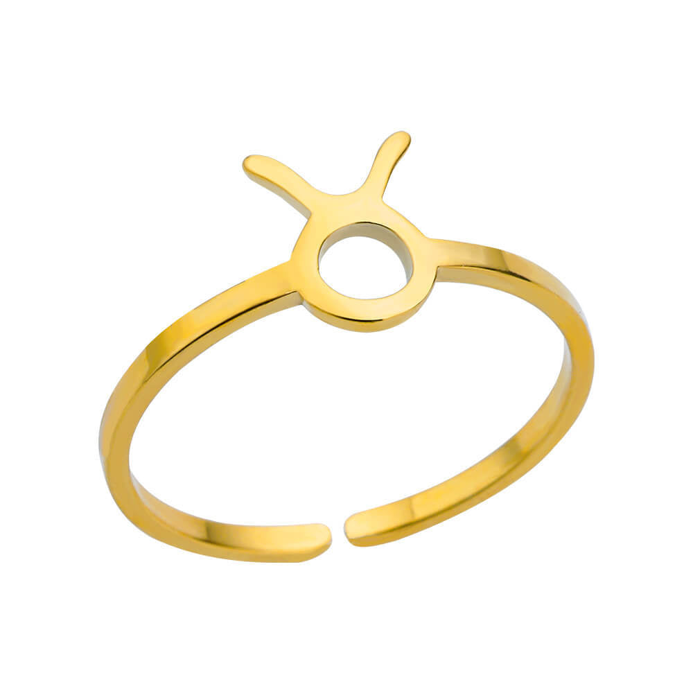 Steel Constellation Twee Symbol Birthstone Open Rings