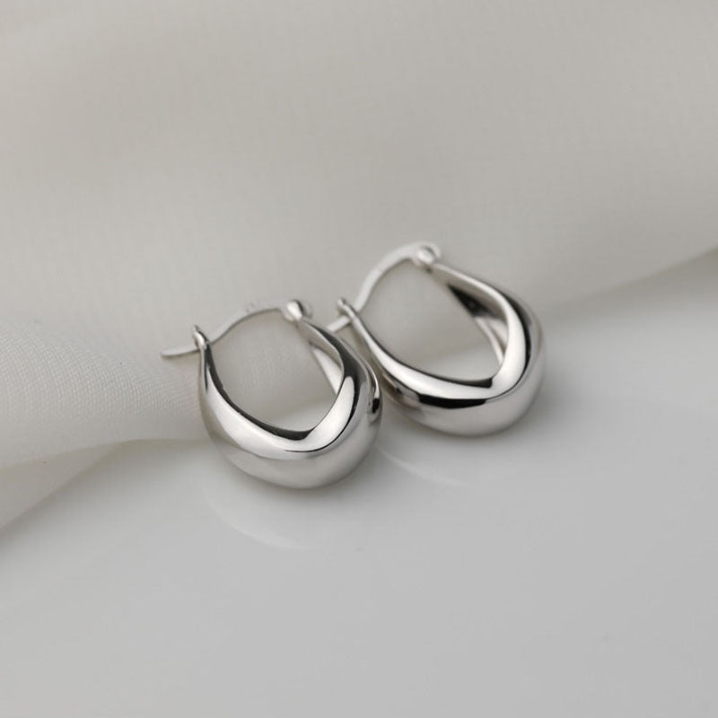 Design Metal Texture Small Ear High-grade Earrings