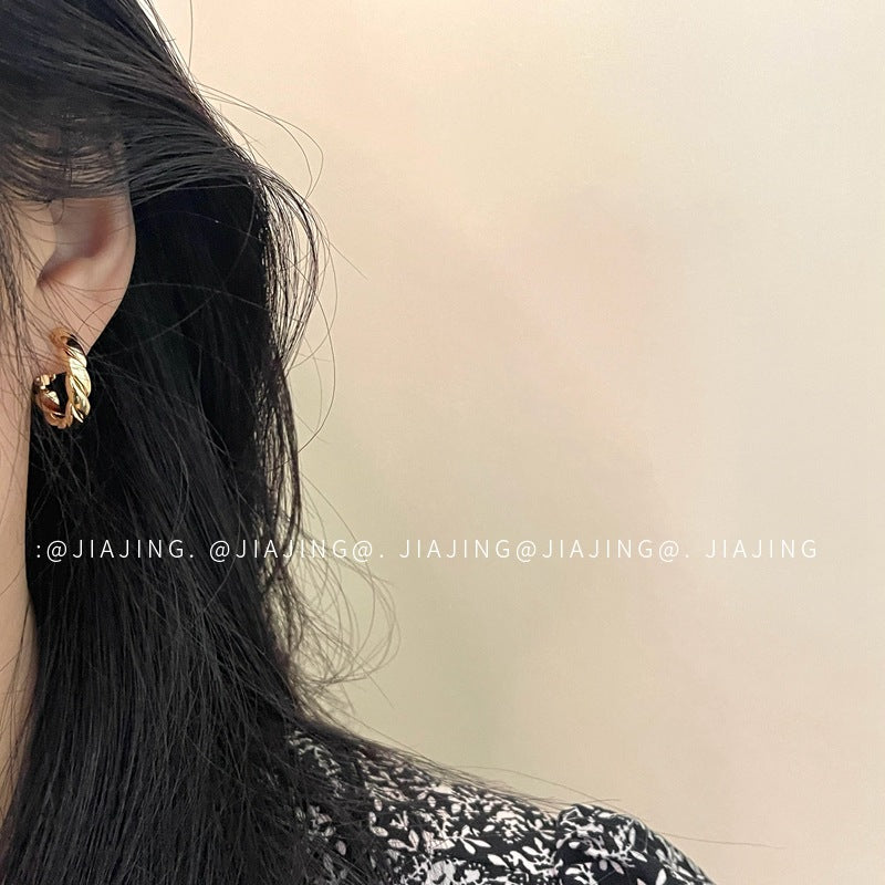 Twisted Twist Sier Needle Personality Simple Earrings