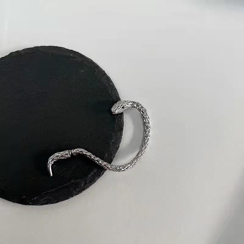 Winding Snake High Profile Retro Punk Stud Earrings