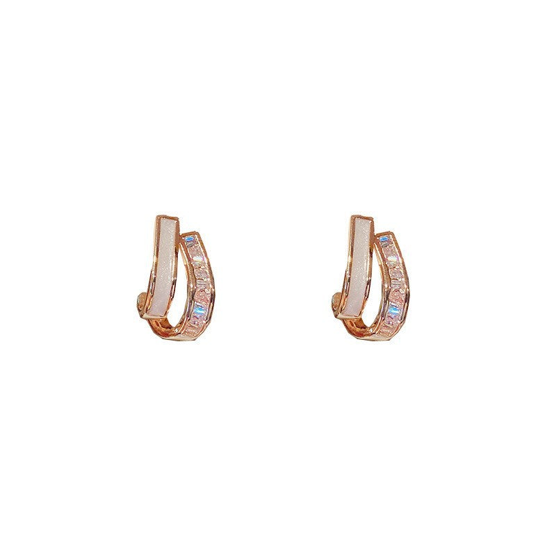 Layer Petite Female Graceful Fashionable Simple Light Luxury Frosty Stud Earrings