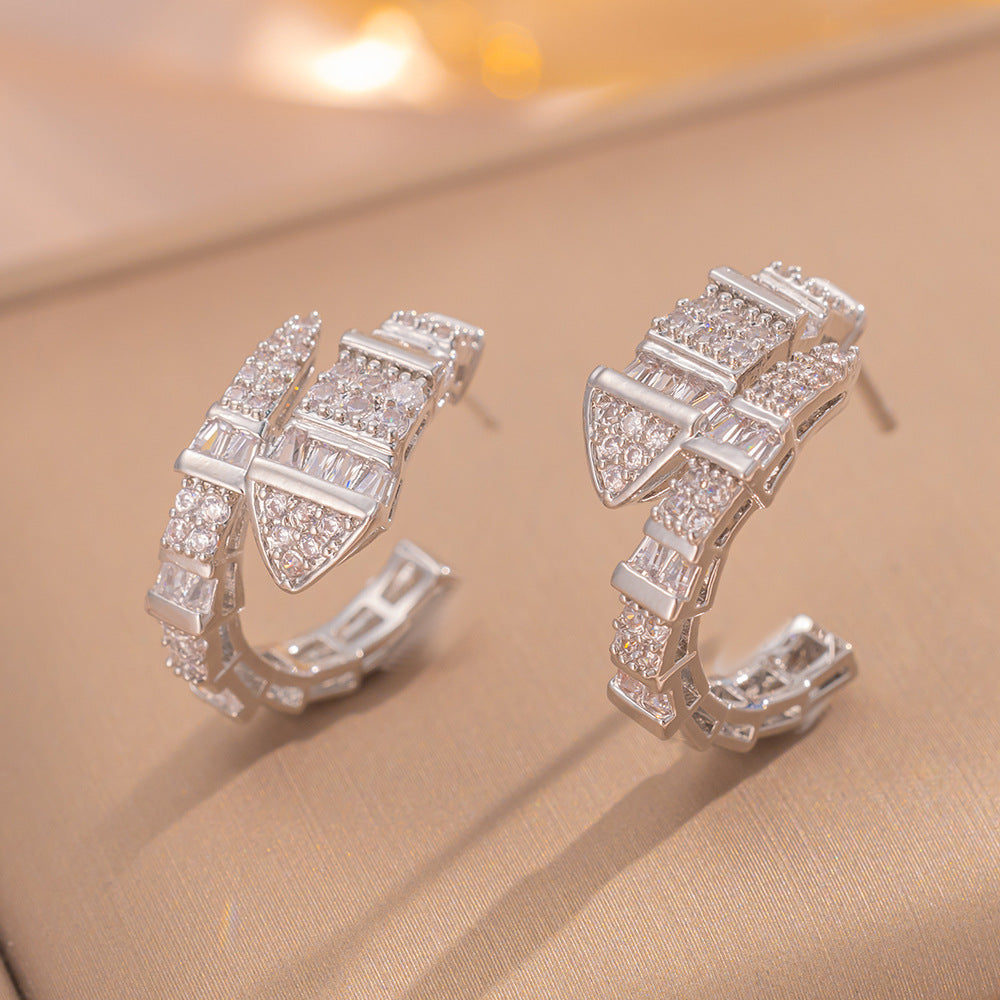 Simple Classic All Match Fashion Zircon Earrings