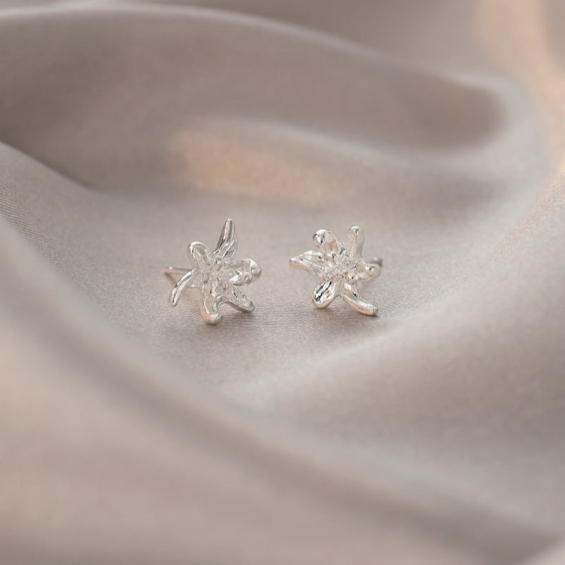 Women's Zircon Tassel Light Luxury High Sense Stud Earrings