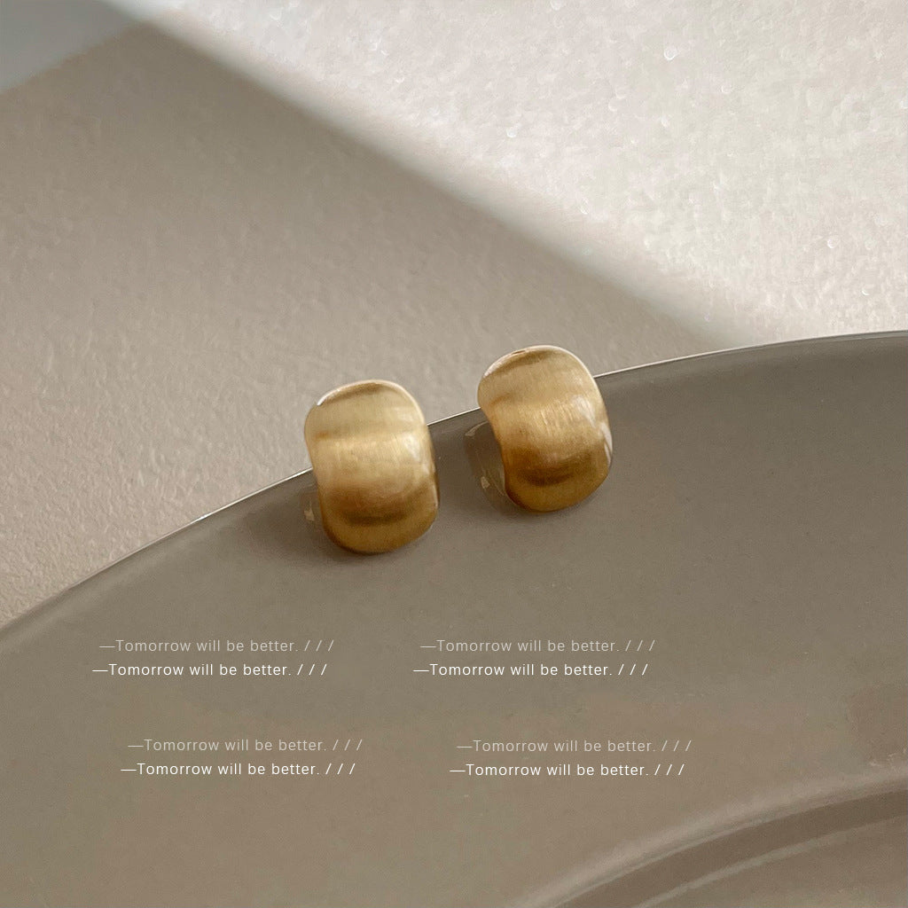 Matte Texture Geometric Female Niche Fashion Earrings