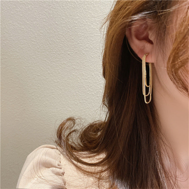 Women's Tassel Graceful Long Delicate Trendy Light Earrings