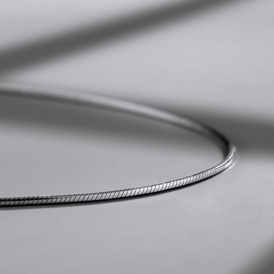Men's Snake Bones Chain Fashionable High-grade Clavicle Choker Titanium Steel Necklace