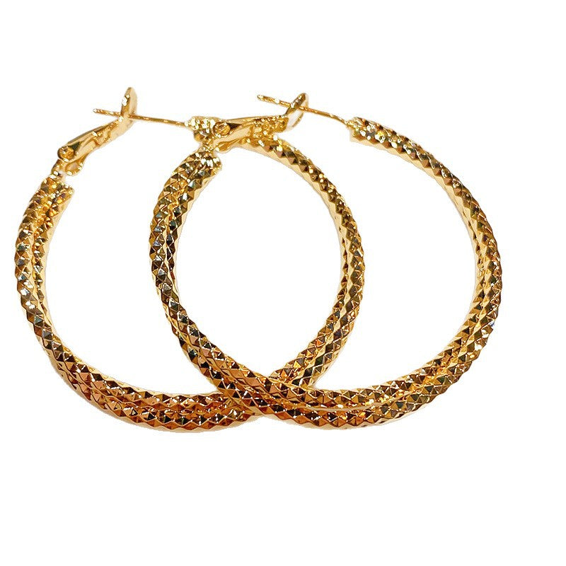 Cut Small Pieces Of Double Layer Hoop High Sense Niche Earrings