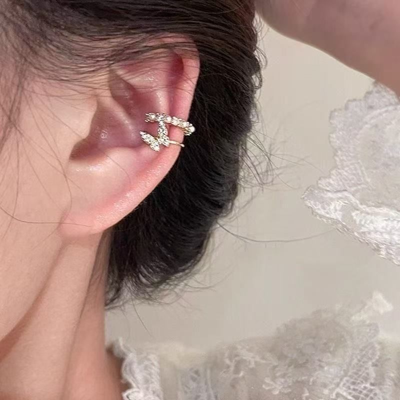 Women's Zircon Tassel Light Luxury High Sense Stud Earrings