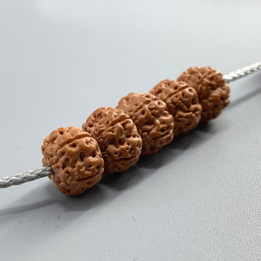 Women's & Men's Pier Honeycomb Tree Ancestor Small Bodhi Bracelet