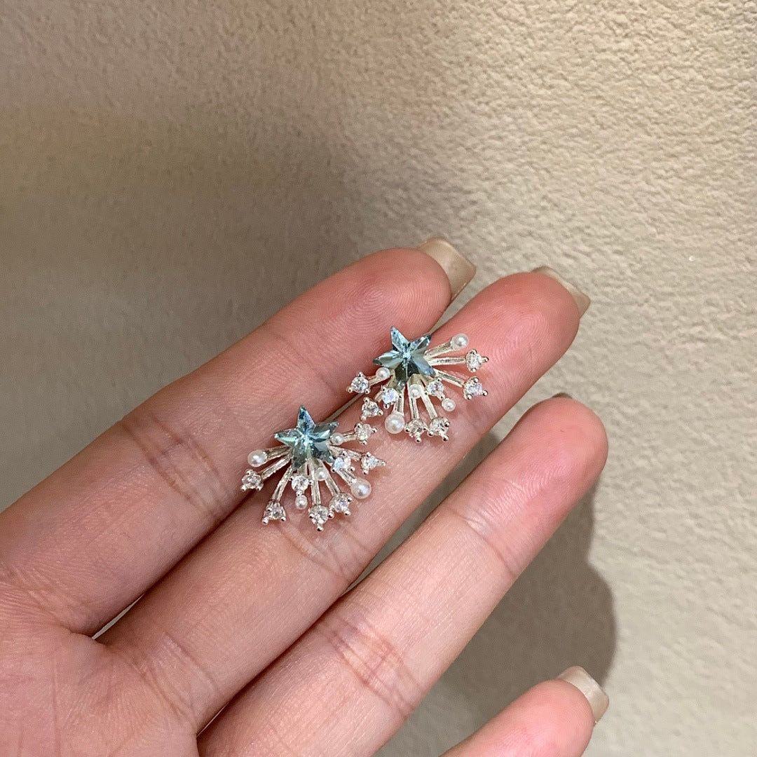 Sier Needle Exquisite Temperament Sparking Zirconium Earrings